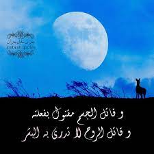 و قاتل الجسم مقتول بفعلته و قاتل الروح لا تدري به البشر جبران خليل جبران جبرانيات love messages me quotes instagram posts