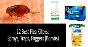 As you comb away fleas, dip the comb in a cup of soapy water. How To Kill Fleas Quickly Top 12 Best Flea Sprays Traps And Foggers Bombs