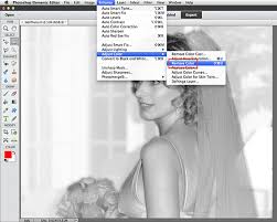 And then if you want to learn more we will show you how to make an inverse sketch. Create Sepia Tones In Photoshop Elements Dummies