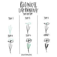Step By Step Botanical Drawings Botanical Line Drawing Flower Drawing Tutorials Flower Drawing