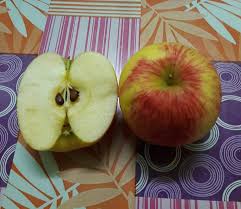 Hari ni kami nak pergi wisata petik apple! Tanam Epal Guna Biji Pun Boleh Hidup Mamang Wow Ilmu Ni Boleh Cuba Keluarga