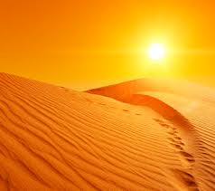 Estudo revela como era o Saara antes de se tornar um deserto - Pensamento  Verde