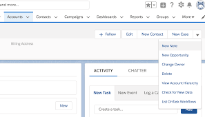 Custom Button Not Showing In Page Level Action Menu In Lightning Salesforce Developer Community