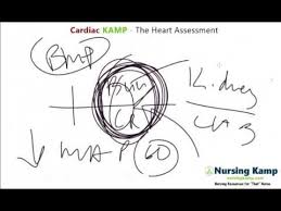 Nursing Kamp S Scribble Hemodynamic Map Mean Arterial Pressure Nursing K Mean Arterial Pressure Nclex Nurse