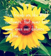 Wednesday Words Of Wisdom Friends Are Like Sunflowers Friends Are Like Sunflower Quotes Flower Quotes