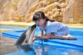 Atlantis Paradise Island Excursions: Aquaventure Waterpark & Dolphin Swim