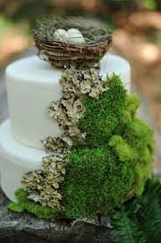 70 Idees Pour Creer Une Decoration En Utilisant De La Mousse Vegetale Mousse Vegetale Vegetal Tarte De Mariage