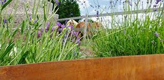 Romantik Pur Grosser Garten Rasenkanten Alte Baume