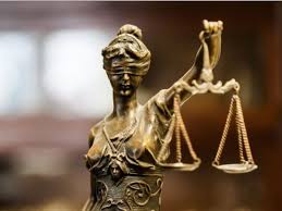 Image result for Justicia engleriana