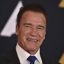 Austrian car battery startup backed by Arnold Schwarzenegger takes fight to  Tesla