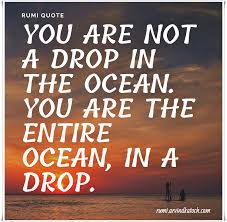 Rumi Quote With Meaning You Are Not A Drop In The Ocean