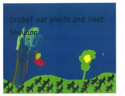 Mrs. Preston's Kindergarten Class Insect Book