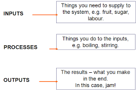 young money input process output