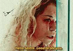 We did not find results for: Tatiana Maslany Hello Sestra Good To See You Gif Tatiana Maslany Hello Sestra Good To See You Orphan Black Discover Share Gifs