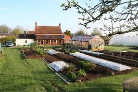 Maybe you would like to learn more about one of these? Start Out No Dig Charles Dowding