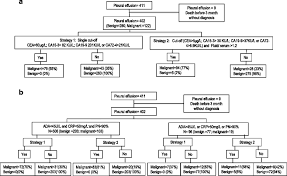 Evaluation Of Two Strategies For The Interpretation Of