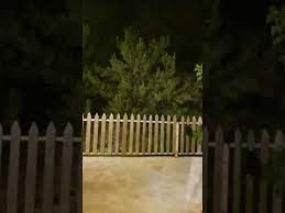 القموعة لبنان أجمل المناظر الطبيعية في جرود القموعة لبنان youtube outdoor structures outdoor plants