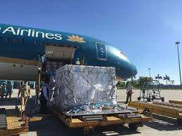 Ảnh minh họa ngày 11/8, thứ trưởng y tế trương quốc cường vừa ký văn bản. Viá»‡t Nam Tiáº¿p Nháº­n 500 000 Liá»u Vaccine Vero Cell Cá»§a Sinopharm