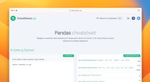 Image result for Pandas cheatsheet