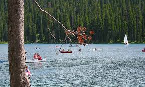 Camp Loll Union Falls Yellowstone Yellowstone Places To Go Camping