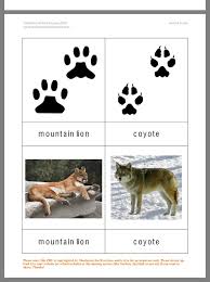 Pin By Sonja Ban On Igre In 2020 Animal Tracks Sensory Activities Toddlers Animals