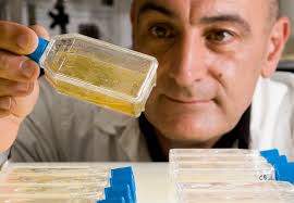 Viruses aren't always the bad guys