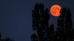 From a spiritual seeker to a sage, everyone has or wants to study the moon and its. Spiritual Meaning Of Moon In The Dream Evangelist Joshua Orekhie