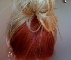 Hairstyles With Blond On Top Red Underneath Peekaboo Hair Hair Color Underneath Under Hair Color
