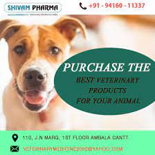 Purchase The Best Veterinary Products For Your Animal Veterinary Franchise Companies Franchise Business