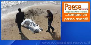 25 september at 21:20 ·. Castelvolturno Baia Domizia Ritrovato Morto L Uomo Scomparso Ieri Con La Sua Moto D Acqua Paese News Cronaca Politica Sport Caserta E Provincia
