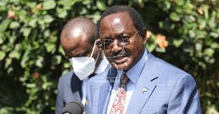 Kalonzo revealed that president uhuru sent him to deliver a congratulatory message to nana akufo on his inauguration for a second term. Vzrip5ssmlnsjm