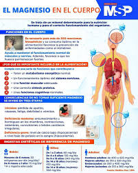 InfografíaMSP 🔬 El magnesio juega un papel en la regulación de los niveles de glucosa en sangre al influir en la acción de la insulina. Conoce más sobre la importancia del magnesio