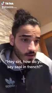We did not find results for: Hey Siri How Do You Say Seal In French Tiktok Coub The Biggest Video Meme Platform