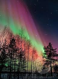 Finland S Northern Lights Aurora Borealis Aurora Aurora Auroraborealis Borealis Finlands Lights North Northern Lights Beautiful Nature Night Skies