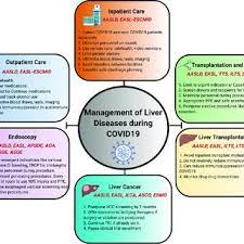 Pdf One World One Pandemic Many Guidelines Management Of Liver Diseases During Covid 19