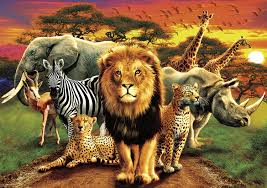 Buffalo jigsaw puzzles 500 pieces. Buffalo Games Amazing Nature Collection African Beasts 500 Piece Jigsaw Puzzle Toys Games Puzzles Ekbotefurniture Com