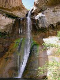 We did not find results for: Calf Creek Canyon Wikipedia