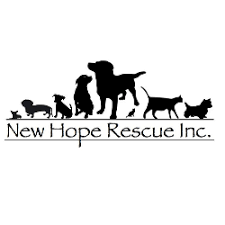 Maybe you would like to learn more about one of these? Colorado Springs Co Animal Shelters Rescues Chewy Com