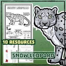Snow Leopard 10 Resources Coloring Pages Reading Endangered Animals Activities Snow Leopard Leopard