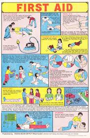 Indian First Aid Poster Indian Charts First Aid Poster