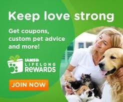 Iams Dog Food Coupons Pet Advice