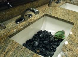 River Rocks And Succulent For Powder Room Bathroom Sink Bathroom Sink