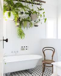 Many indoor plants grow well in bathrooms where they can improve aesthetics and create. Here S How Showering With Plants Can Cure You Of Your Allergies Miss Fq