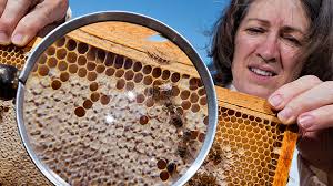 Quanta Magazine Articles