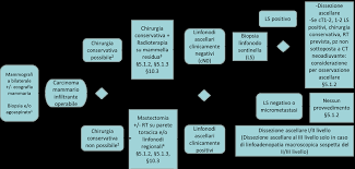 75 mg/m2, con un intervallo di tre settimane tra una somministrazione di tale associazione e la successiva (vedere paragrafo 5.1). Https Www Aiom It Wp Content Uploads 2019 10 2019 Lg Aiom Mammella Pdf