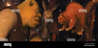 Asino, giusto immagini e fotografie stock ad alta risoluzione