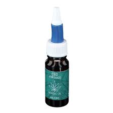 Als hochwertiges cbd öl zählen unter den experten eindeutig vollspektrum cbd öl tropfen. Cbd Ol 4 Nordic Oil Fur Hunde 10 Ml Shop Apotheke Com