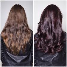 Love That Shine Chromasilk 4n 4 20 With 10 Volume Creme Developer Stylist Trekn Pravana Chromas Pravana Hair Color Hair Color Formulas Burgundy Hair