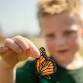 Beaumont Butterfly Release