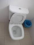 Dual flush toilet - Wikipedia